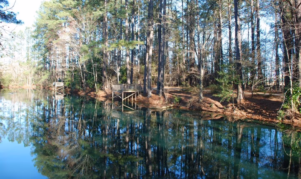 A serene outdoor scene featuring a calm pond surrounded by tall pine trees with two small wooden docks extending over the water, reflecting the trees and sky.