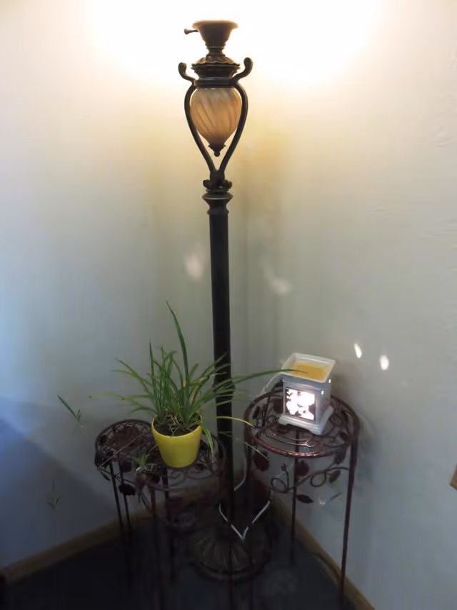 A decorative floor lamp with a dark metal stand and a frosted glass shade is positioned in the corner of a room. Next to the lamp are two small round metal tables with intricate leaf designs. One table holds a yellow pot with a green plant, and the other table has a white electric wax warmer emitting light. The walls are light-colored, and the floor is carpeted.