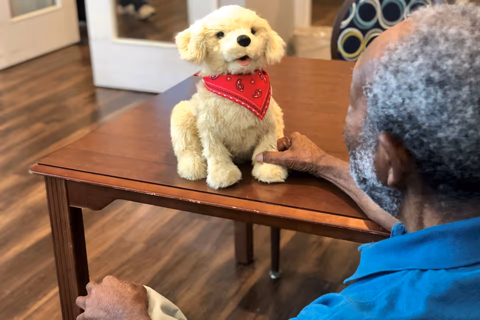 An elderly man with gray hair and a blue shirt sits at a wooden table, interacting with a small fluffy toy dog wearing a red bandana. The setting appears to be an indoor room with wooden flooring and a door in the background.