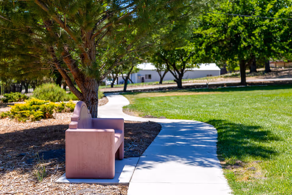 A curved concrete pathway in a green outdoor area with a pink bench under a tree on the left side. The scene includes grass, trees, and shrubs with a building visible in the background.