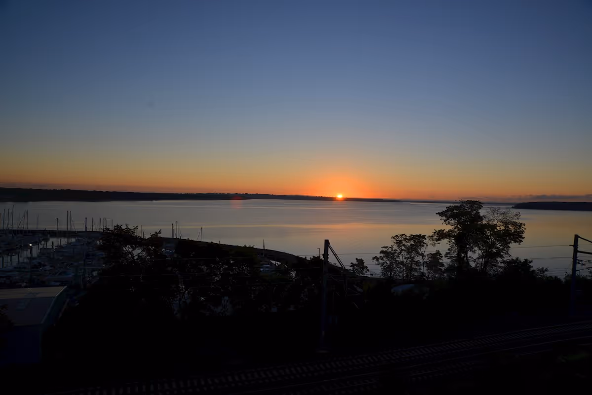 Sunset view over a calm body of water with a marina filled with boats on the left side, silhouetted trees in the foreground, and a clear sky transitioning from orange near the horizon to blue above.