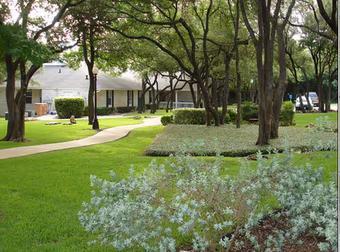 A landscaped outdoor area with a curved walkway, trees, and a building facade.