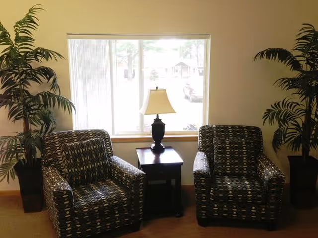 Two patterned armchairs with a small wooden side table and a lamp between them, positioned in front of a window with vertical blinds. There are two large potted plants on either side of the chairs.