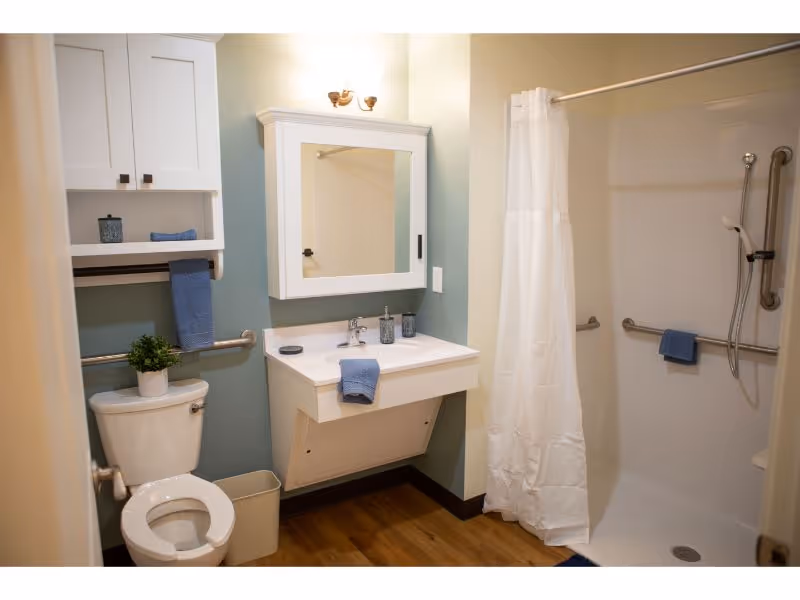 A clean and accessible bathroom featuring a toilet with a grab bar and a small potted plant on the tank, a wall-mounted sink with a mirror cabinet above it, and a walk-in shower with a white curtain and grab bars. Blue towels are neatly placed on the grab bars and sink.