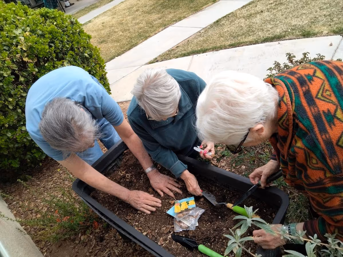 Three elderly women gardening together outdoors, planting seeds in a rectangular planter filled with soil. They are surrounded by greenery and a paved walkway is visible in the background.