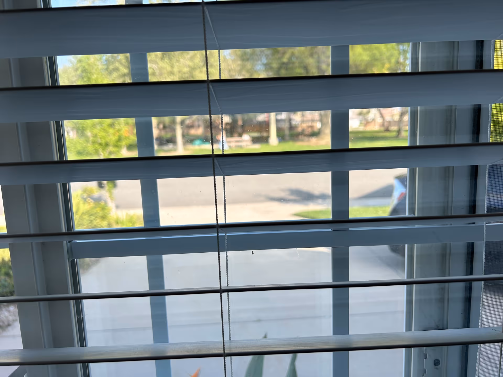 View through horizontal window blinds showing a driveway, parked car, and the street outside.