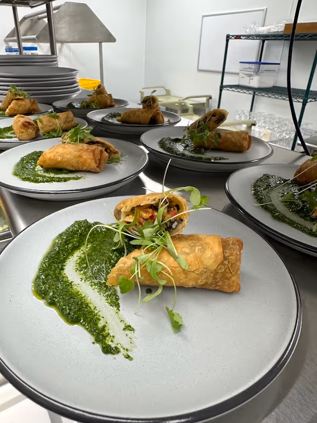 Several white plates on a stainless steel counter, each with a spring roll cut in half and garnished with microgreens, served with a green sauce spread artistically on the side. In the background, kitchen shelving and equipment are visible.