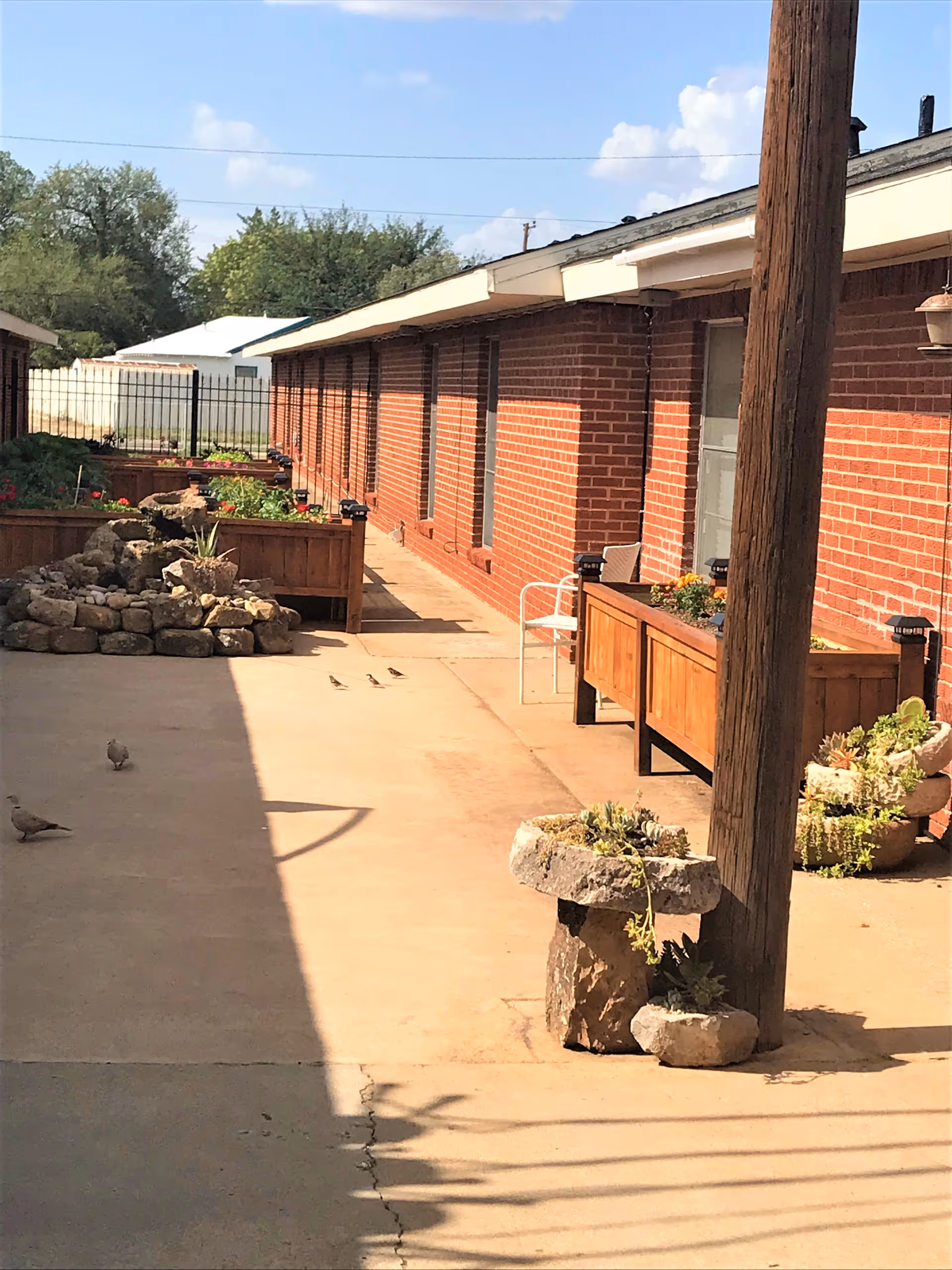 Outdoor courtyard area with a concrete walkway, raised wooden garden beds filled with plants and flowers, a small rock garden, and a brick building with windows and doors. There are a few birds on the ground and a wooden utility pole with stone planters at its base.