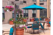 Outdoor patio area with several tables and chairs featuring teal cushions and umbrellas. Large potted plants and hanging flower baskets with pink and purple flowers decorate the space. The patio is surrounded by the building's exterior walls with multiple windows.
