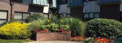 Exterior of a brick building with a landscaped front planter and shrubs.
