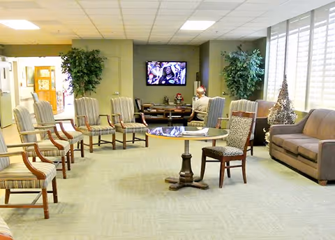 A spacious living room area with several striped armchairs arranged in a semi-circle facing a wall-mounted television. A round glass-top table with a single chair is in the center of the room. There is a brown sofa on the right side near large windows with white blinds. Two large potted plants flank the television, and a small decorated Christmas tree is placed near the sofa. A person is seated facing the television.