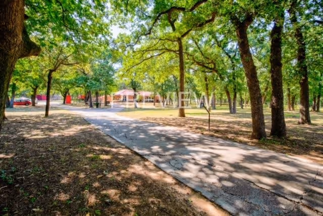 A paved pathway winding through a wooded area with many tall trees casting shadows on the ground. In the background, there is a small building with a red roof and a red car parked nearby.