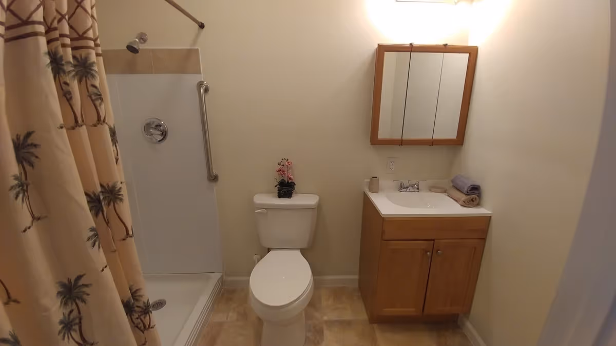 A small bathroom with a shower area on the left featuring a palm tree patterned shower curtain, a white toilet with a small plant on top, and a wooden vanity with a sink and a mirrored medicine cabinet above it. The walls are light-colored and the floor has beige tiles.