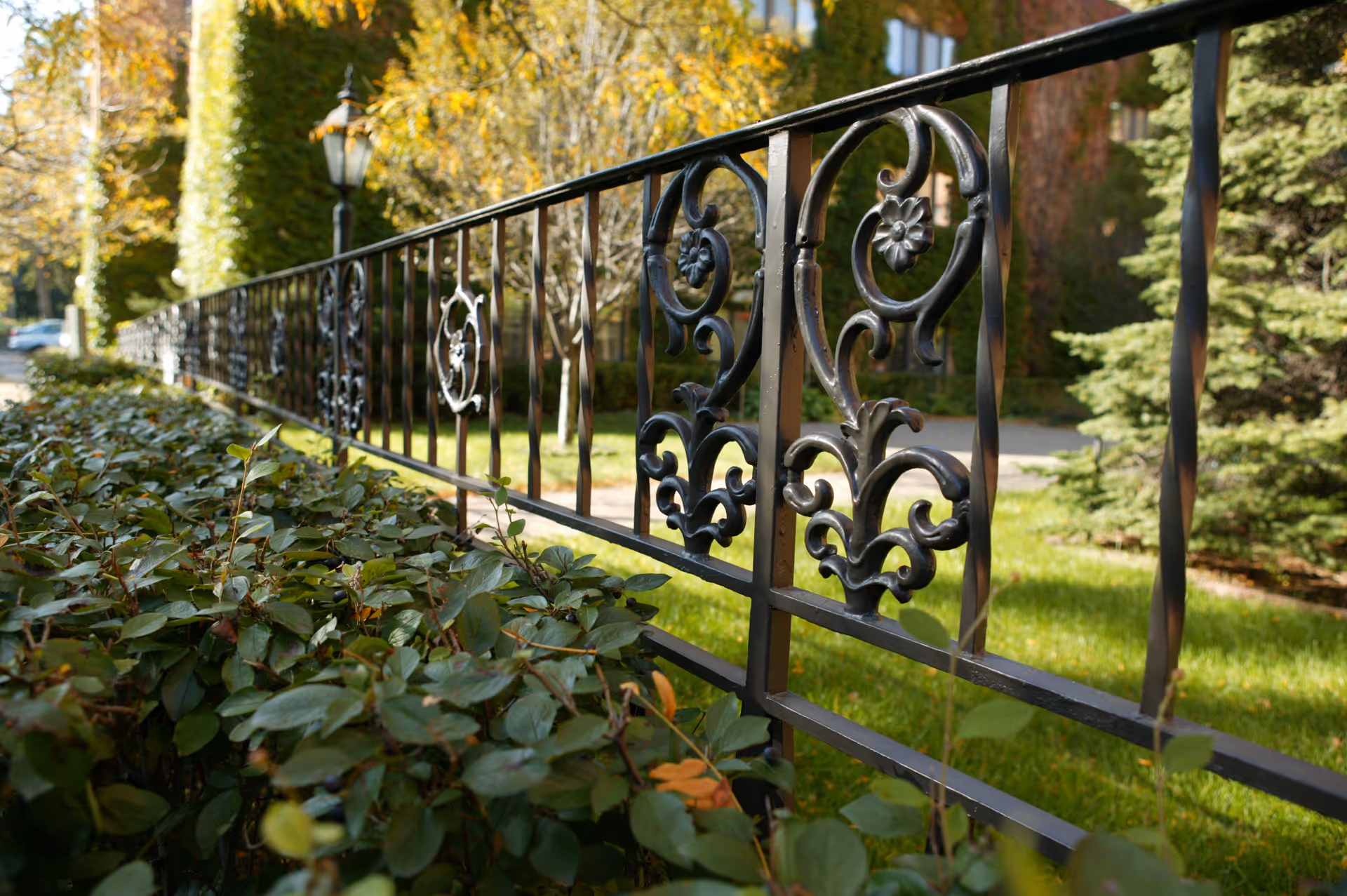 Close-up view of a decorative black wrought iron fence with intricate floral and scroll designs, bordered by green bushes and grass, with a brick building and trees in the background on a sunny day.