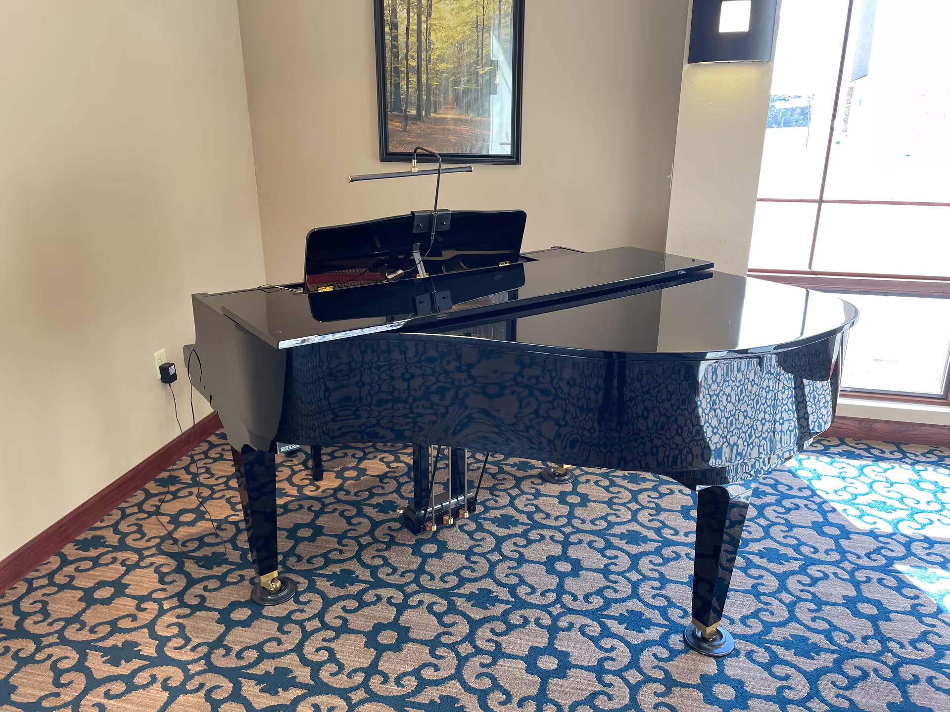 A black grand piano placed on a patterned carpet in a room with beige walls. There is a framed picture of a forest hanging on the wall behind the piano, and a window letting in natural light on the right side.