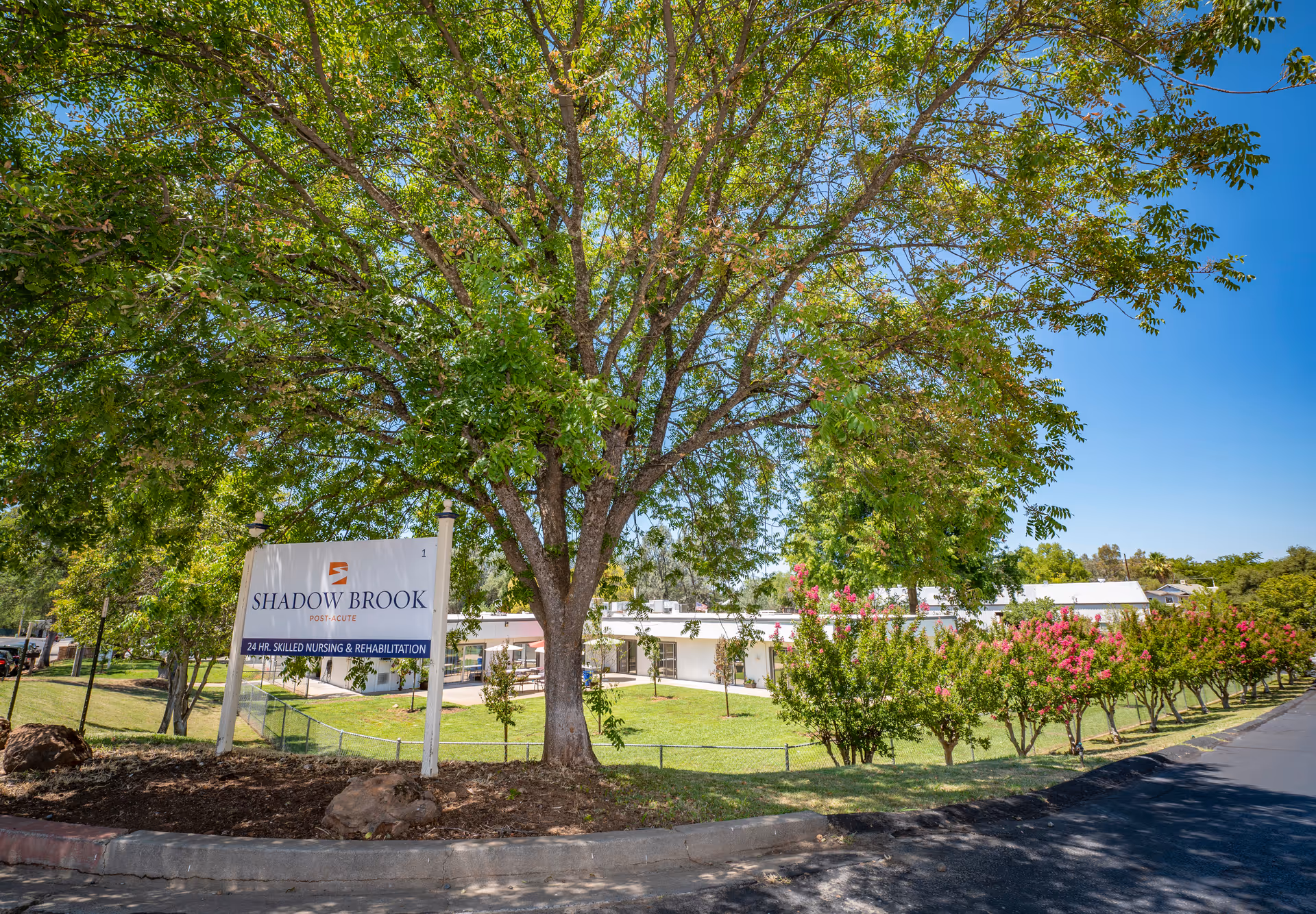 Exterior view of Shadow Brook Post-Acute facility with a large tree and a sign in the foreground. The sign reads 'Shadow Brook Post-Acute 24 Hr. Skilled Nursing & Rehabilitation'. The building is visible behind the tree, surrounded by green grass, bushes with pink flowers, and a clear blue sky.