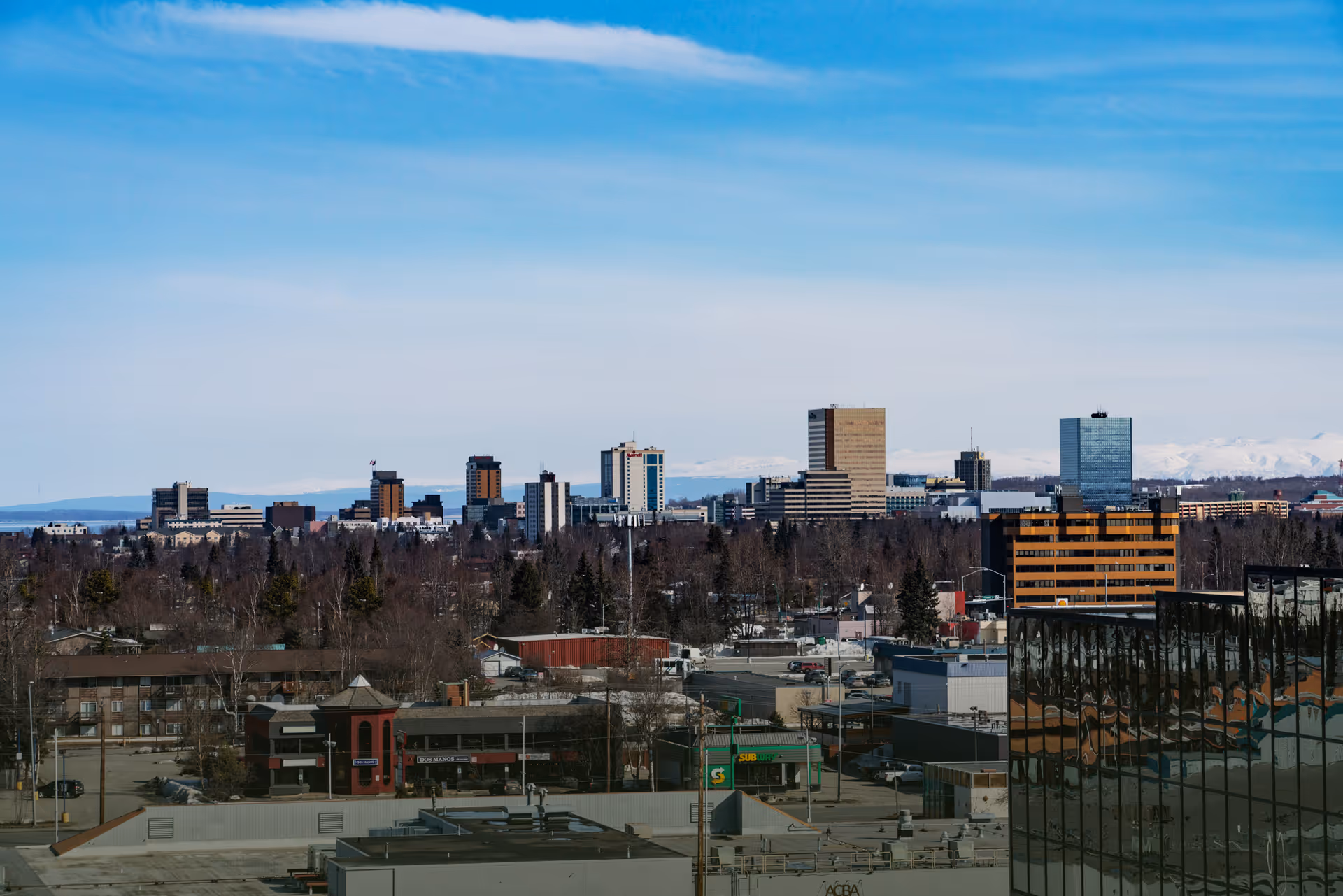 City skyline with multiple mid-rise buildings and trees in the foreground under a clear blue sky.