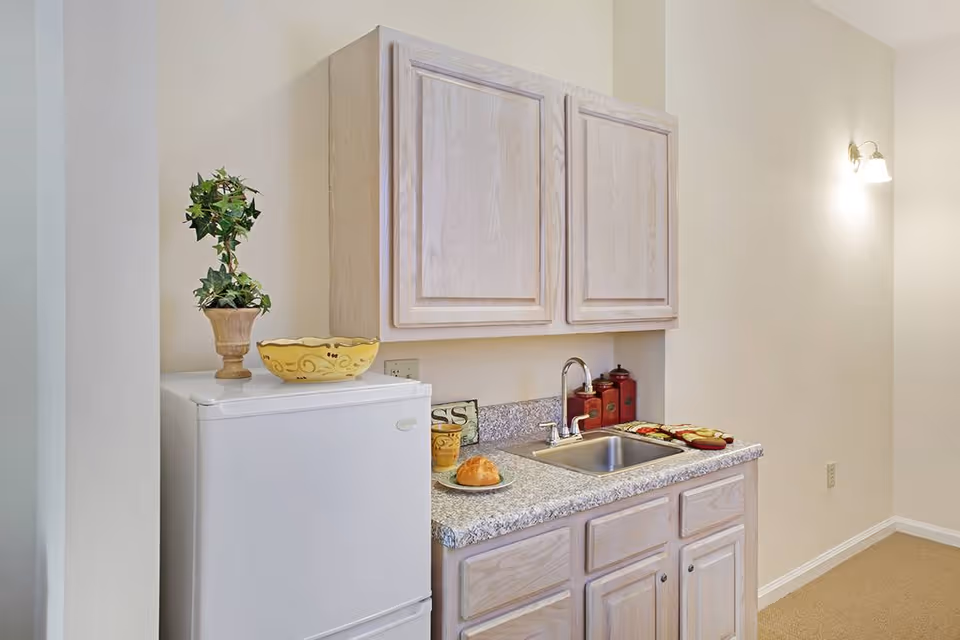 Small kitchenette area with light wood cabinets, a granite countertop, a stainless steel sink, a white mini refrigerator, a potted plant, a decorative bowl, and some kitchen items including a plate with bread and a glass of juice.