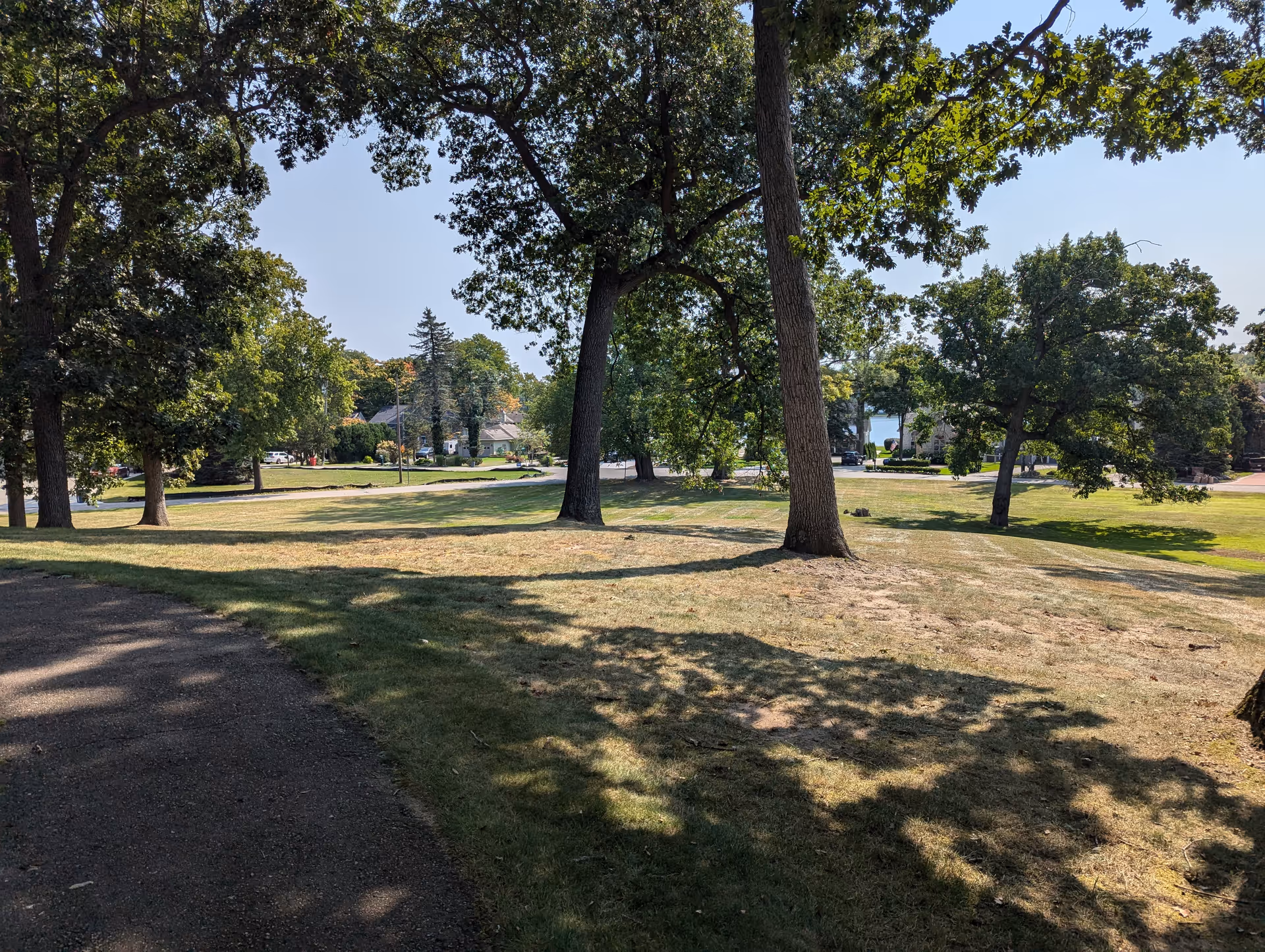 A grassy outdoor area with several large trees casting shadows on the ground. In the background, there are houses and a glimpse of a body of water under a clear blue sky.