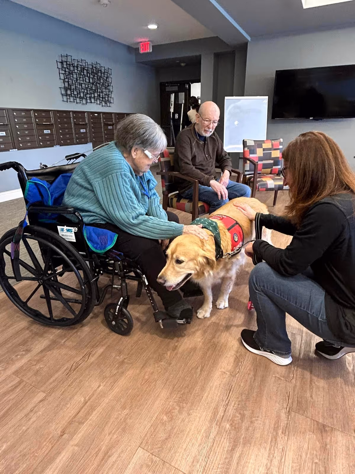 An elderly woman in a wheelchair and an elderly man sitting on a chair pet a golden retriever wearing a service dog vest, while a woman kneels beside the dog in a common area with wooden flooring and a TV mounted on the wall.