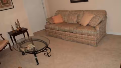 Living room with a patterned sofa, glass coffee table, beige carpet, and framed art.