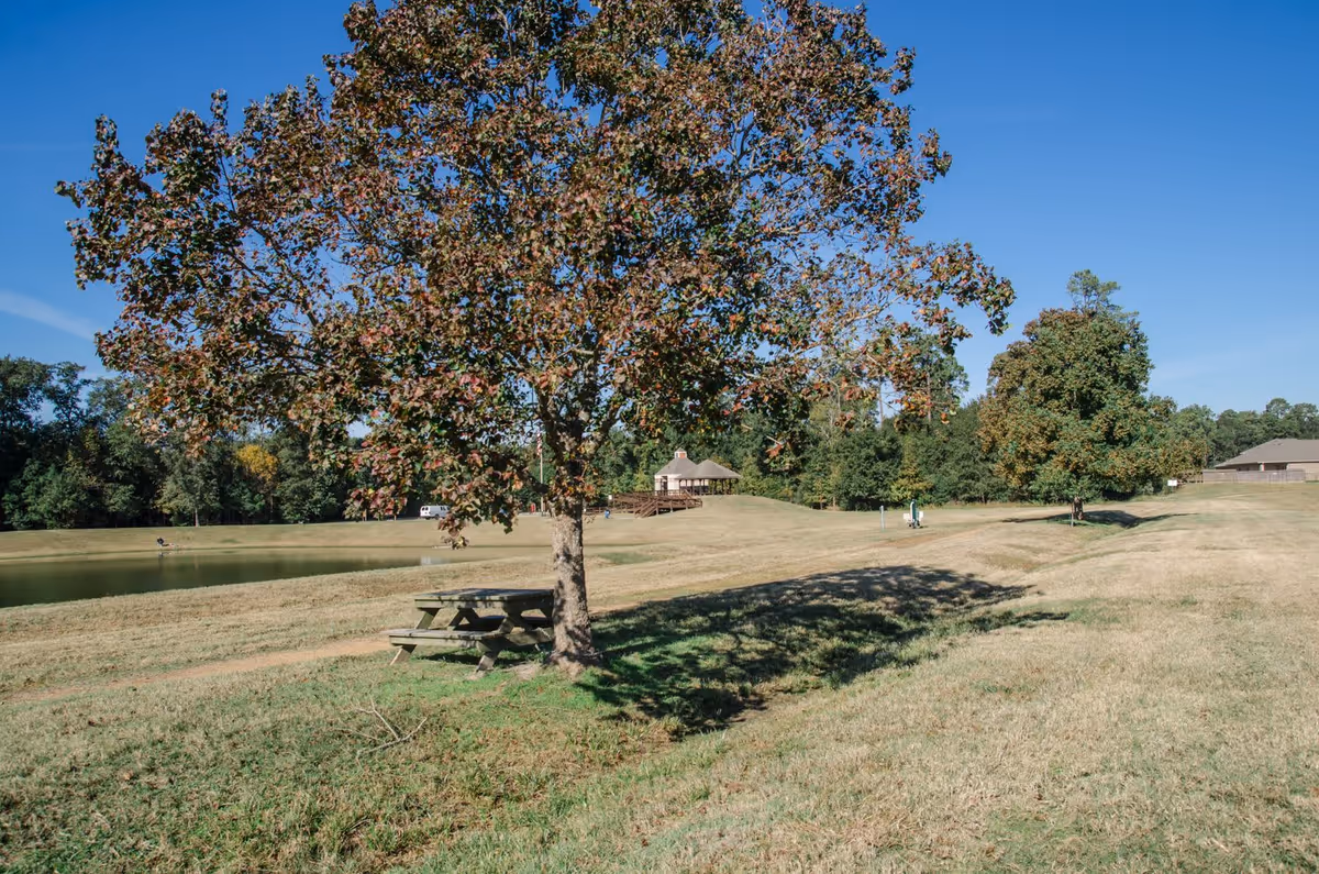 A peaceful outdoor scene at HomeBridge Care featuring a large tree with autumn-colored leaves casting a shadow over a wooden picnic table. In the background, there is a small pond, a gazebo on a grassy hill, and several other trees under a clear blue sky.