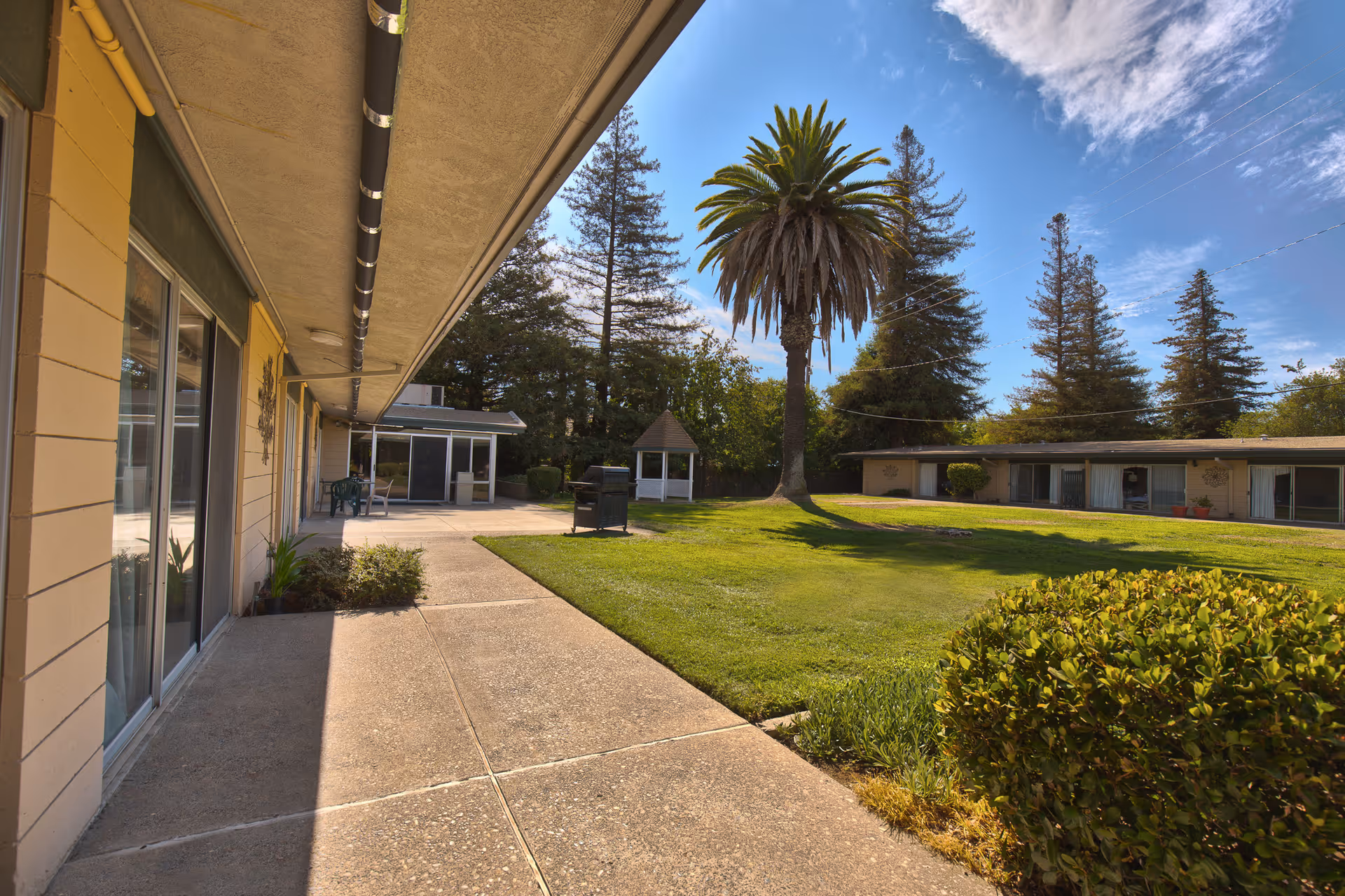 Outdoor courtyard of a care facility with a paved walkway, green lawn, a tall palm tree, and surrounding single-story buildings.