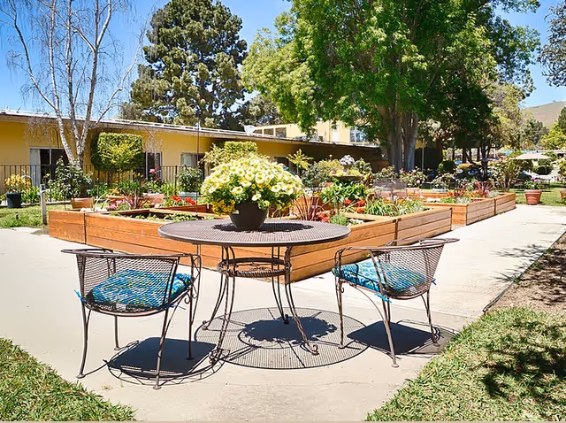 Outdoor courtyard with a metal table and two chairs on a walkway, a potted yellow-flowering plant on the table, raised wooden garden beds, and a single-story yellow building in the background.