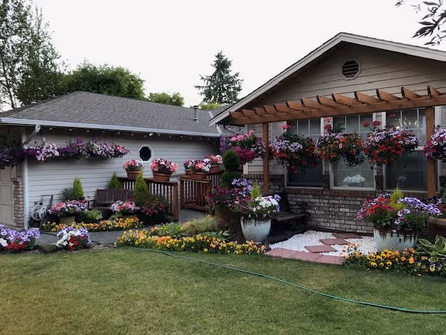 A well-maintained garden area outside a residential building with a variety of colorful flowers in pots and hanging baskets. There is a wooden pergola attached to the building, and a green lawn in the foreground.