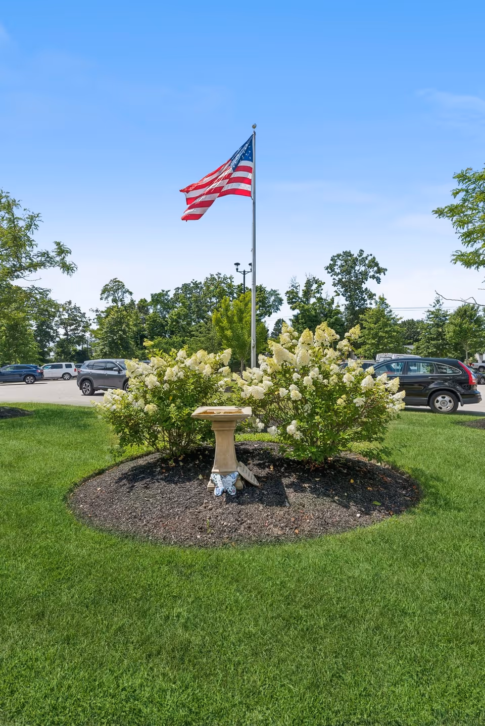 An American flag on a flagpole rises above flowering shrubs and a small birdbath on a grassy island with parked cars and trees in the background.
