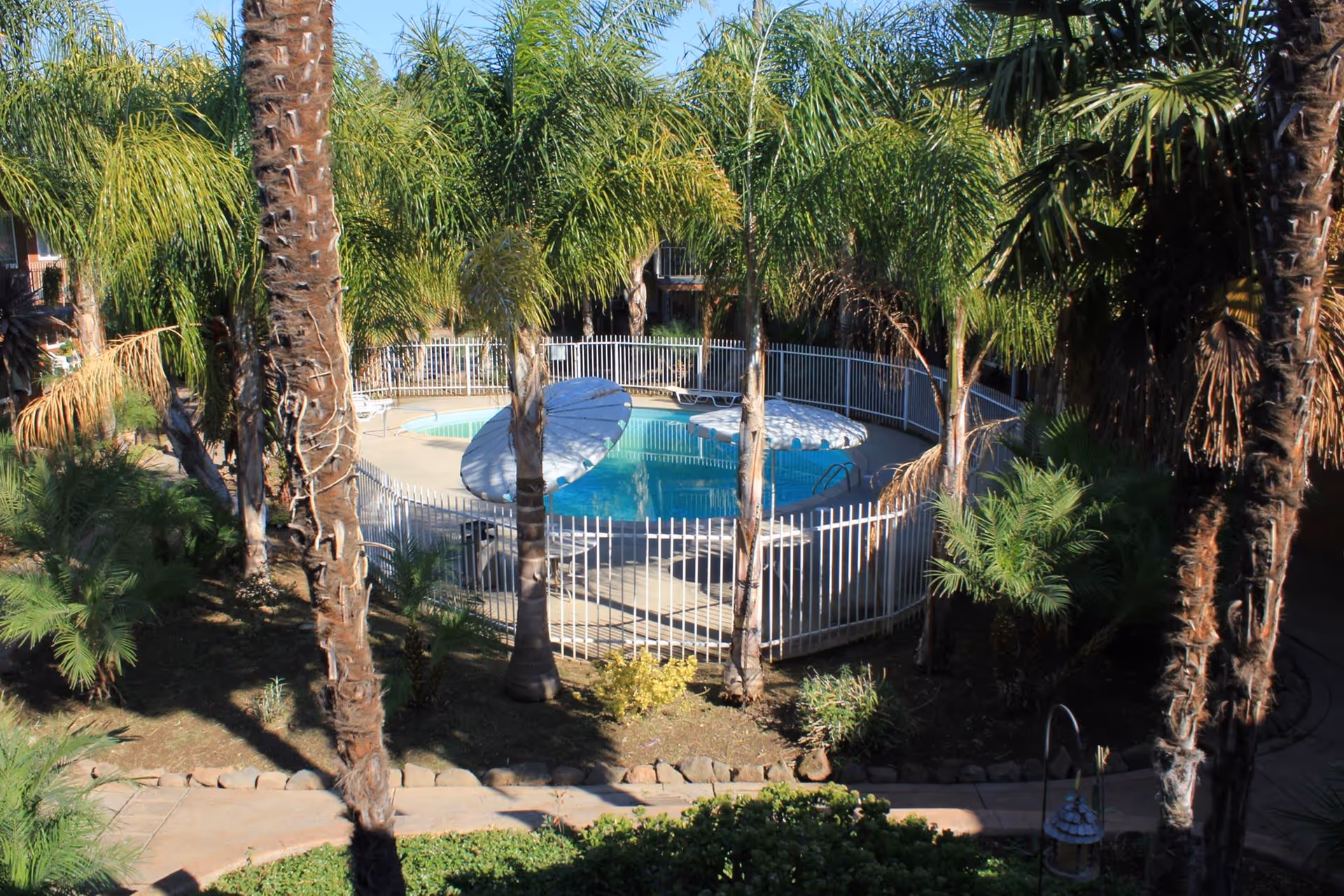 Outdoor swimming pool surrounded by a white metal fence and several palm trees, with lounge chairs and umbrellas around the pool area in a garden setting.