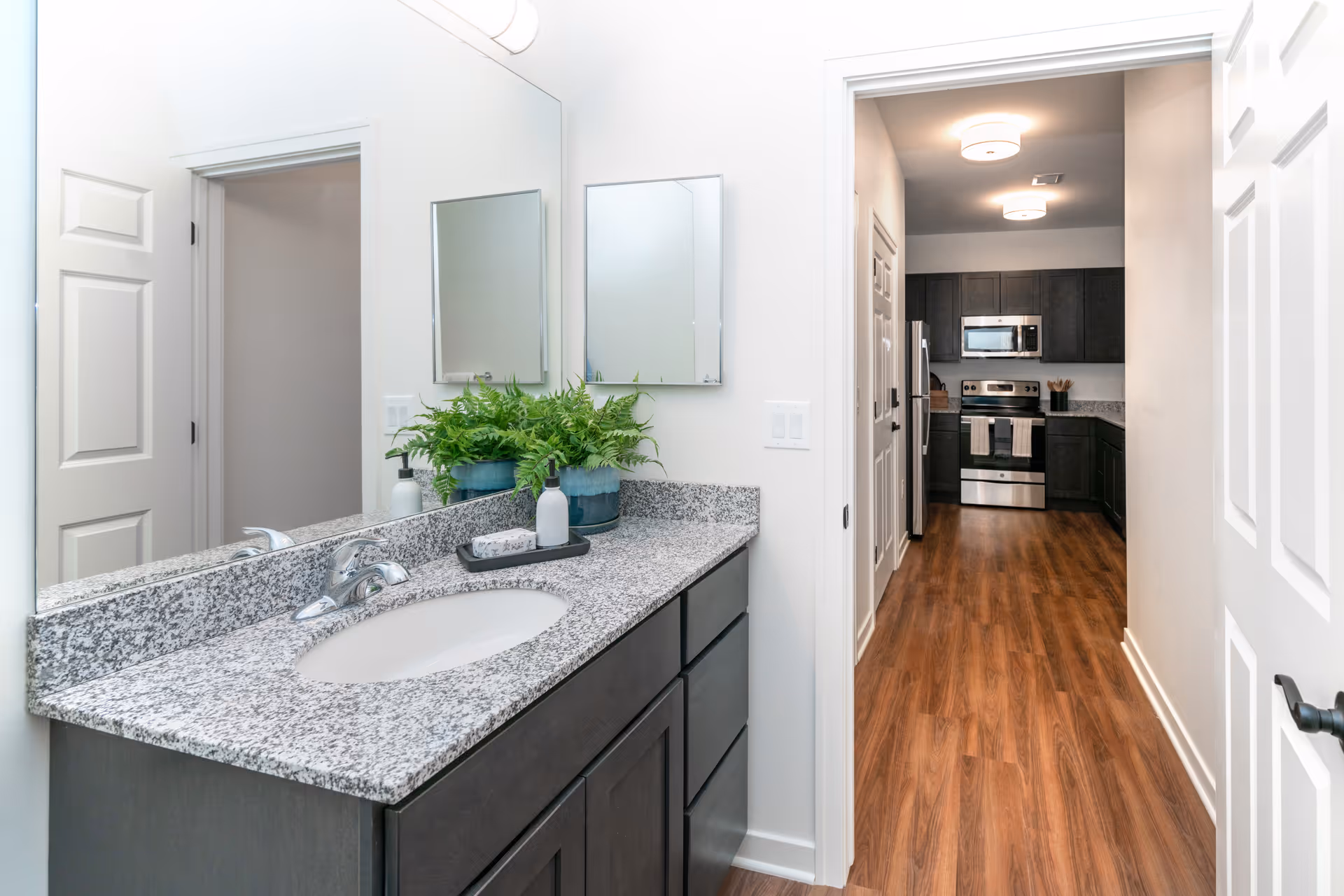 A bathroom vanity with a granite countertop, an oval sink, a chrome faucet, and a large mirror above. There are two potted green plants and a soap dispenser on the counter. The bathroom opens into a hallway leading to a kitchen with dark cabinets, stainless steel appliances, and wood flooring.
