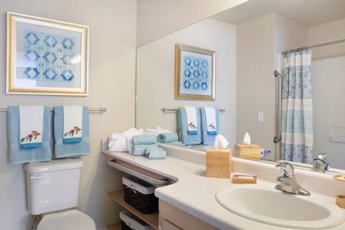 A clean and well-lit bathroom featuring a white toilet with two blue and white towels hanging above it, a large mirror above a white countertop with a sink, a wooden tissue box, and a patterned shower curtain in shades of blue, green, and beige.