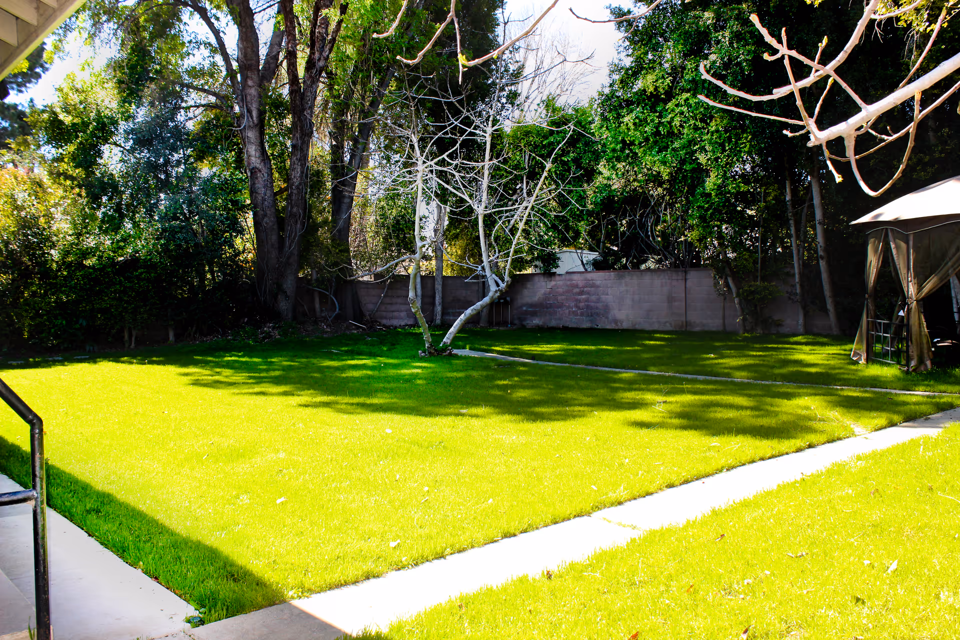 A bright, sunny outdoor garden area with a well-maintained green lawn, a few leafless trees, and dense green foliage along the back fence. There is a concrete pathway running through the grass and a small covered seating area or gazebo on the right side.