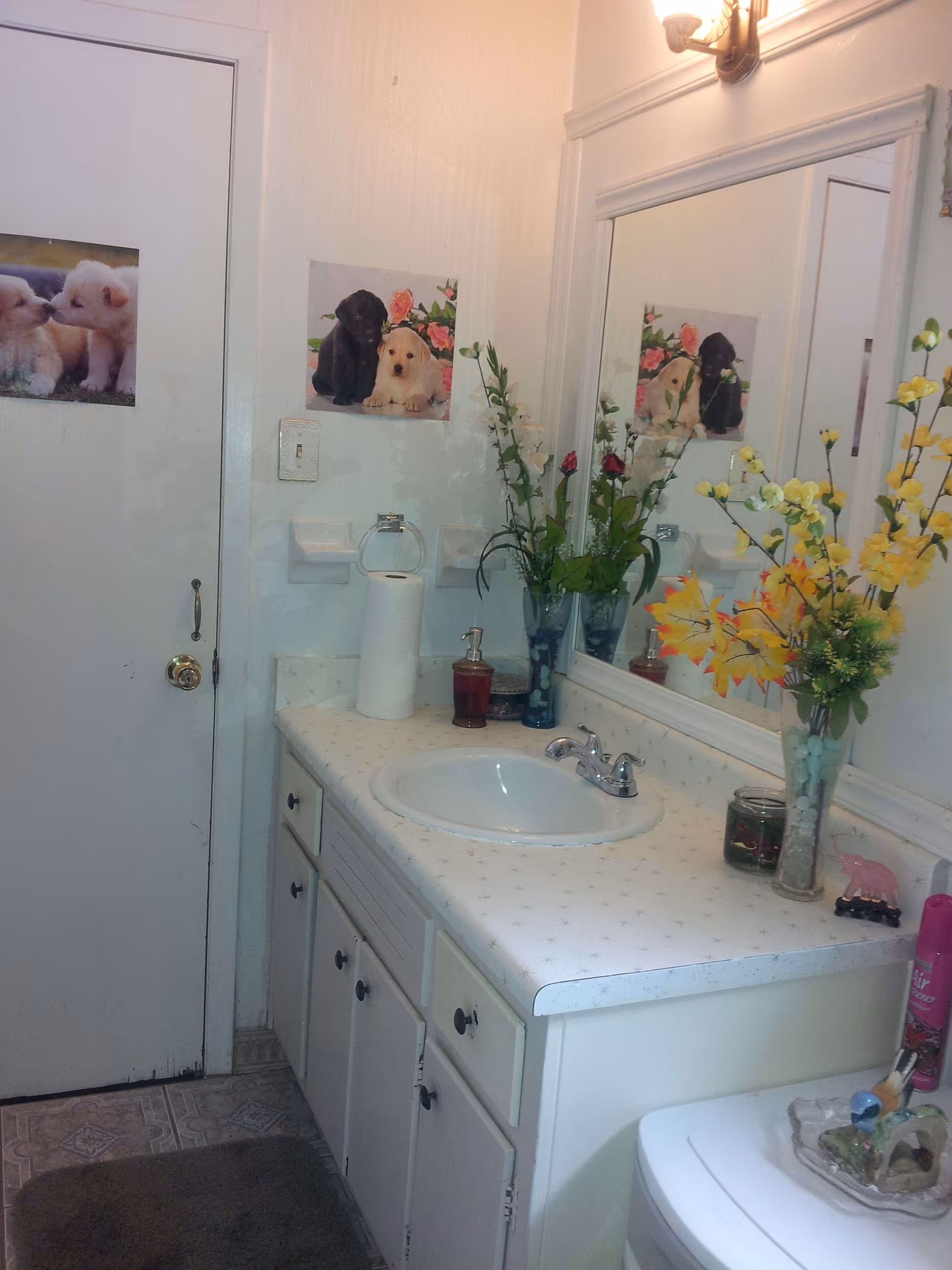 A bathroom interior featuring a white countertop with a built-in sink, a large mirror above the sink, and a vase with artificial flowers. There are two pictures of puppies on the wall and door. A paper towel roll and soap dispenser are on the counter, and a toilet is partially visible in the foreground.