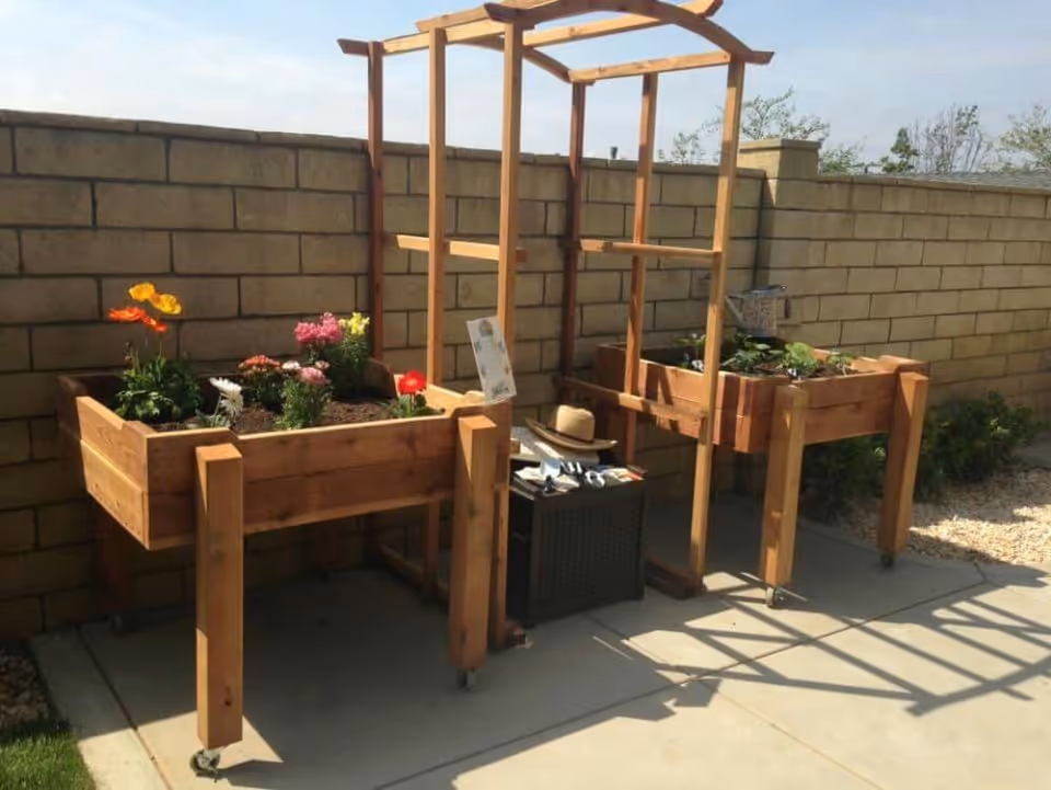 Two wooden raised garden beds on wheels with various flowers and plants growing in them, placed on a concrete patio against a brick wall. A wooden trellis structure is positioned between the garden beds. Gardening tools and a hat are resting on a small black table between the beds. The scene is outdoors with clear skies.