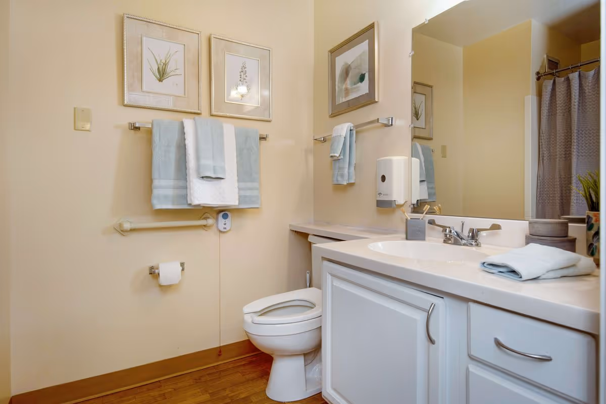 A clean bathroom with a white toilet, a white vanity with a sink, a large mirror, and a countertop with a folded towel and small containers. There are two framed botanical prints on the wall above a towel rack holding blue and white towels. A toilet paper holder is mounted on the wall, and a shower curtain is partially visible in the background.