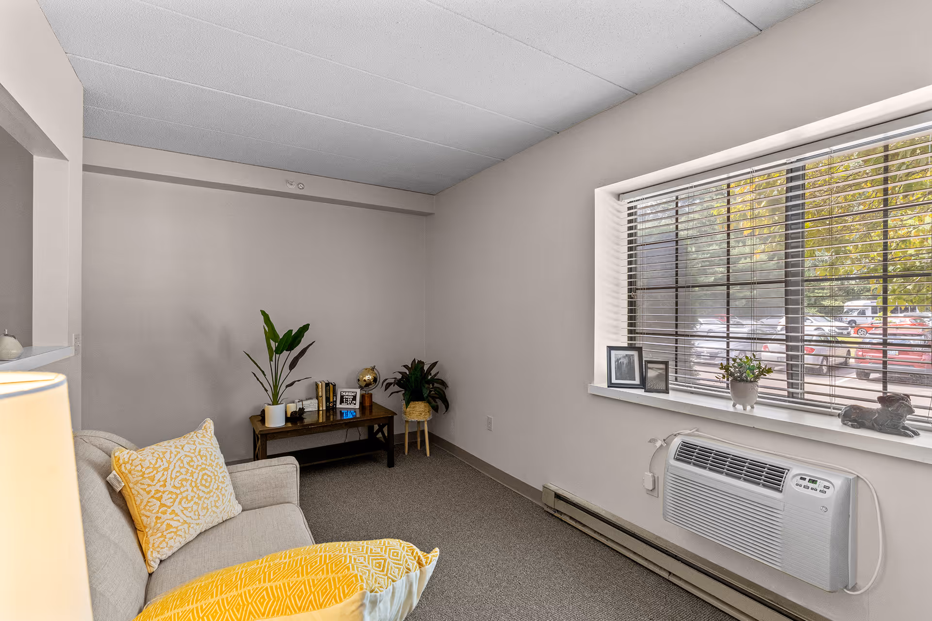 Small living room with a sofa and yellow pillows, a coffee table with plants and decor, and a window with blinds overlooking a parking lot.