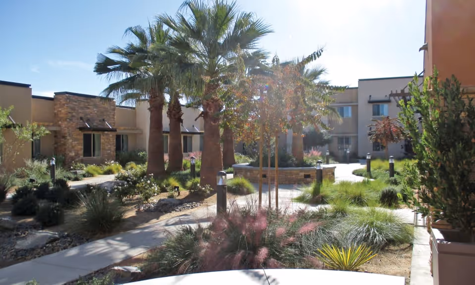 Sunlit courtyard with palm trees, landscaped paths, and surrounding senior living buildings.