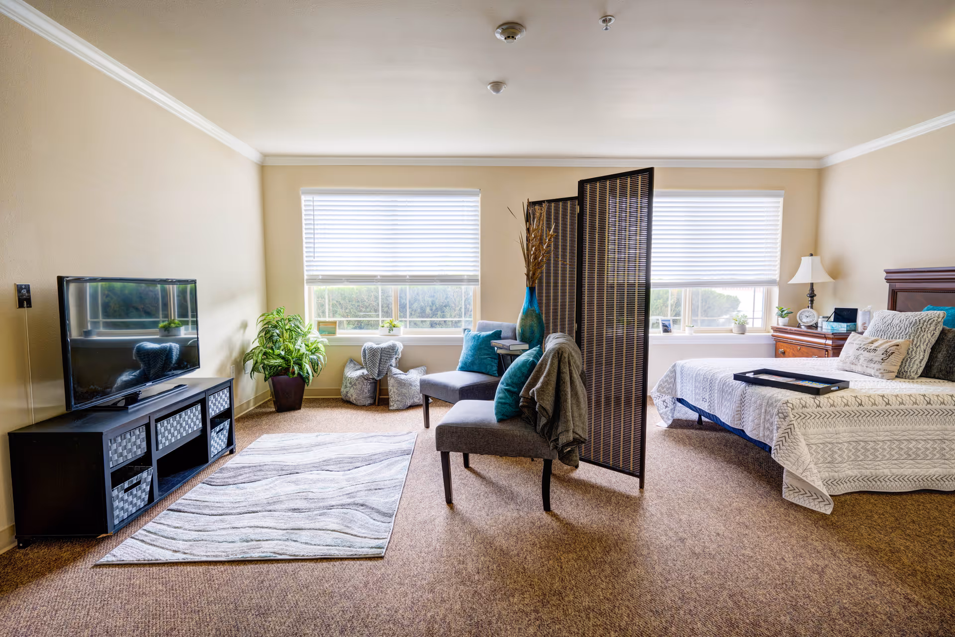 A bright and spacious senior living room and bedroom area with beige walls and carpet. The room features a flat-screen TV on a black stand with storage baskets, a patterned area rug, two gray chairs with teal pillows, a decorative room divider, a large blue vase with dried plants, and a bed with a white and gray patterned bedspread. There is a wooden nightstand with a lamp and clock, and two large windows with white blinds letting in natural light.