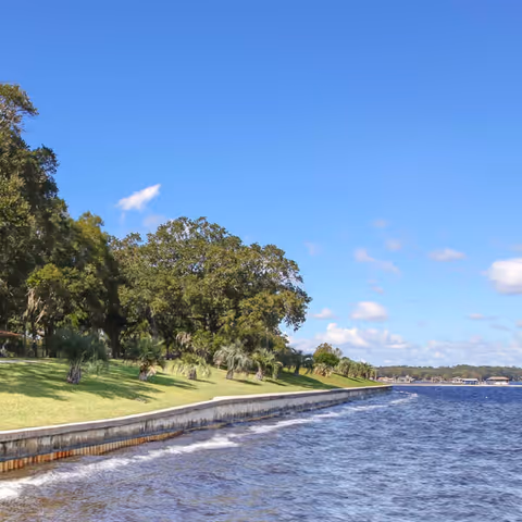 Grassy, tree-lined waterfront embankment beside rippling water under a clear blue sky.