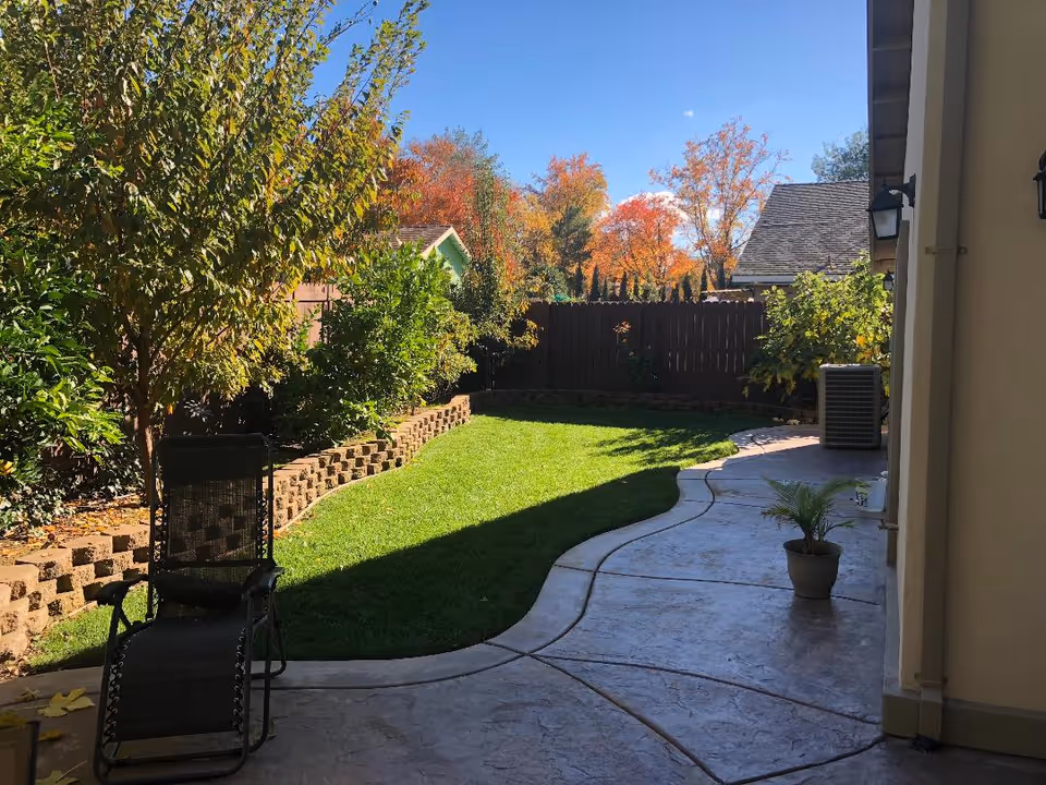 A sunny backyard with a curved concrete patio, a black mesh reclining chair, a small potted plant on the patio, green grass, and a raised garden bed with various bushes and trees showing autumn colors. A wooden fence and neighboring houses are visible in the background under a clear blue sky.