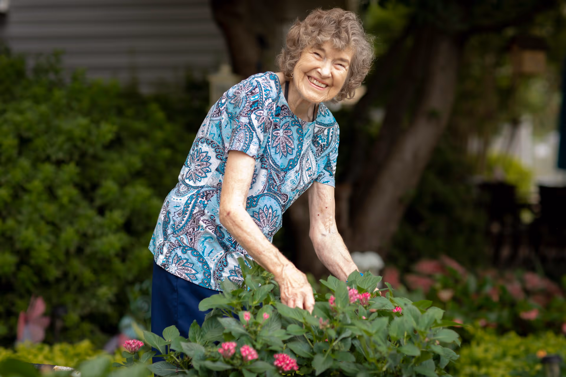 An elderly woman with curly gray hair wearing a blue patterned shirt and dark pants is smiling while tending to pink flowers in a garden with green foliage and trees in the background.