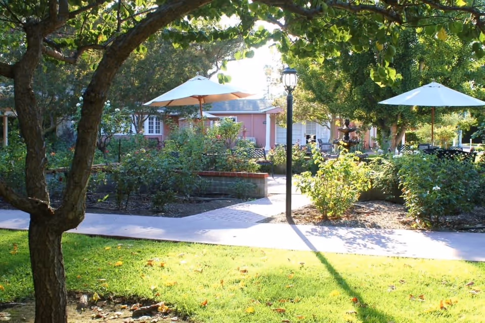 A sunny outdoor garden area with green grass, trees, bushes, and paved walkways. There are white patio umbrellas providing shade over seating areas, and a black lamppost casting a shadow on the ground. In the background, there is a pink building with white windows and doors.