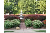 A landscaped garden area with a paved walkway leading to a white tiered water fountain surrounded by green shrubs and red bushes, with tall trees in the background.