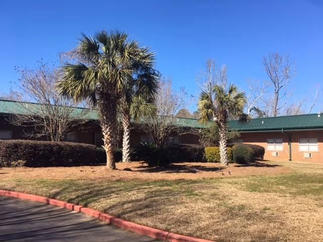 Exterior view of a single-story brick building with a green metal roof, surrounded by palm trees and bushes under a clear blue sky.