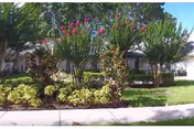 Photo 5 of Palm Garden of Pinellas