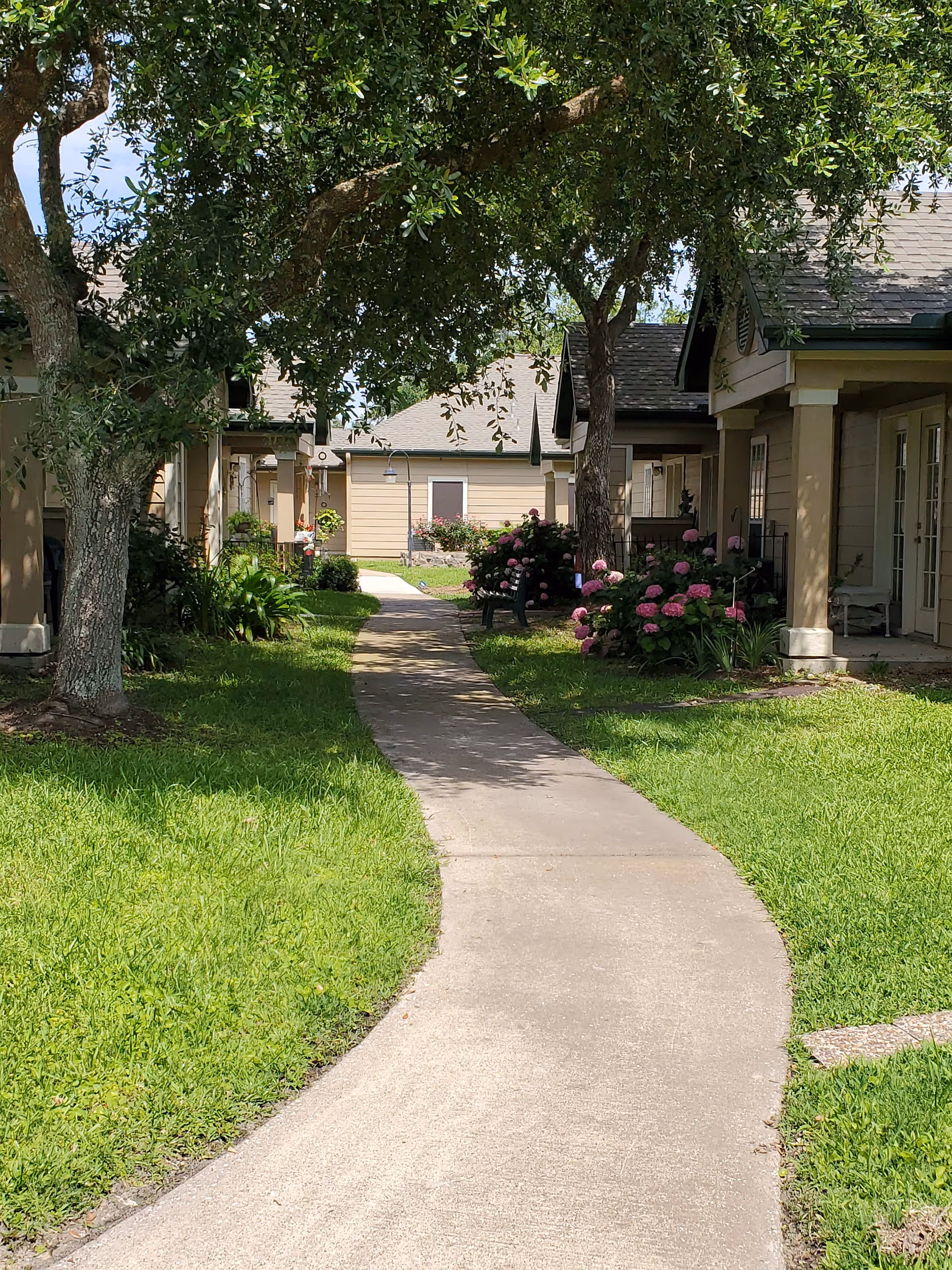 A curved concrete pathway runs through a green lawn with trees and flowering bushes on either side, leading to beige single-story buildings with porches and columns under a clear sky.