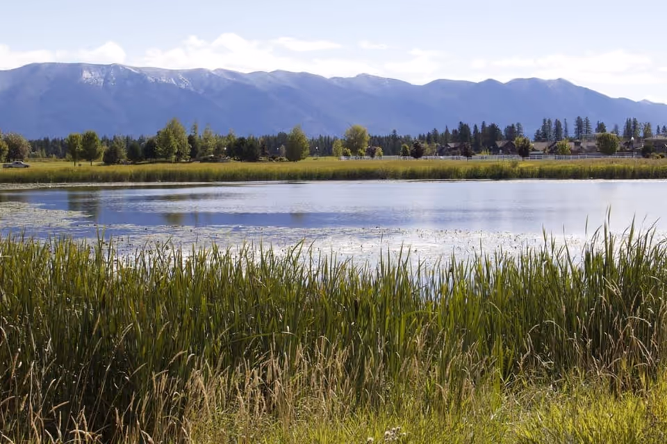Reeds and a small lake with houses and tree-lined shore in front of distant mountains under a blue sky.