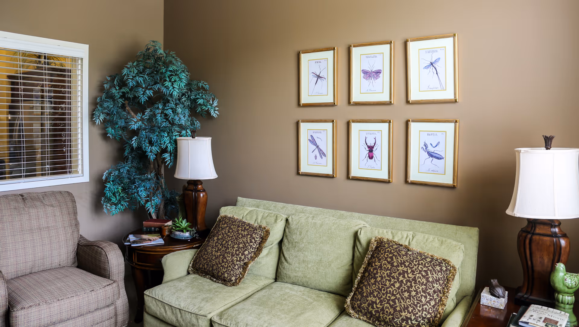 A cozy living room area with a green sofa adorned with two decorative pillows, a brown armchair, a wooden side table with a lamp, books, and a small plant. There is a large artificial plant in the corner and six framed insect illustrations hanging on the beige wall.